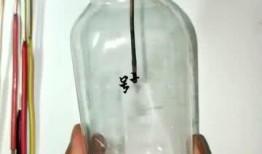 瓶子爆料最新视频下载,瓶子爆料背后的惊人真相